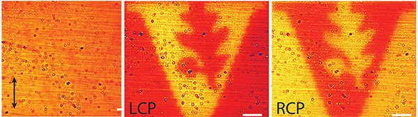 Three images of the same surface demonstrate the new detector's capability