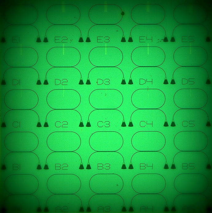 An optical microscope image of a chip containing several memory elements on a ring resonator architecture