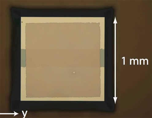 A top view of the vibrating membrane itself