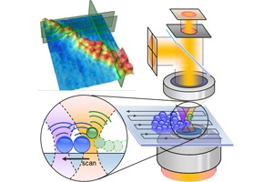 Soft Probing with Optical Tweezers