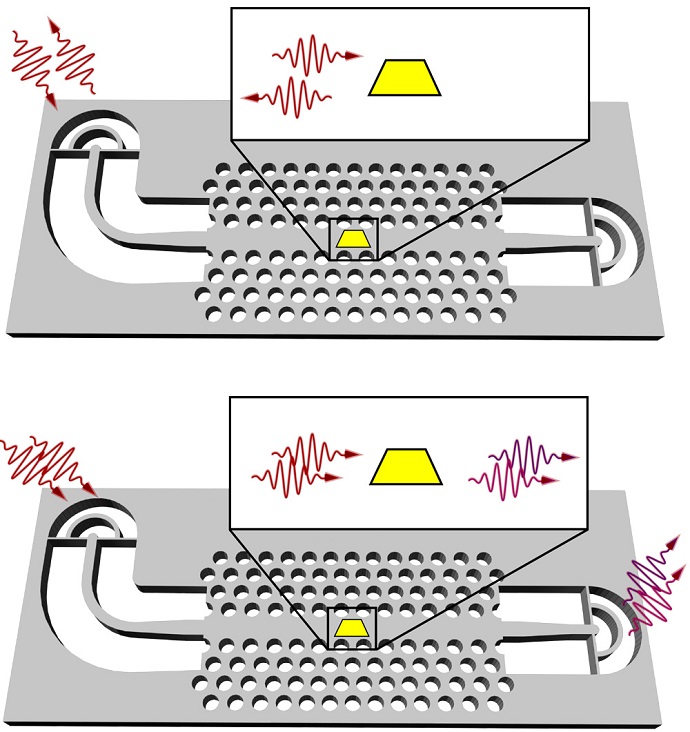 Photons open the gateway for quantum networks