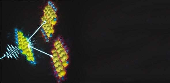 Pentacene molecules convert a single photon into two molecular excitations via the quantum mechanics of singlet fission