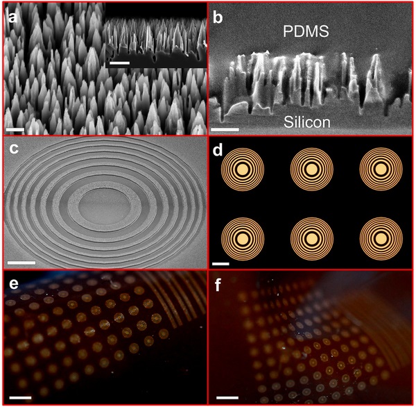 Fresnel lenses