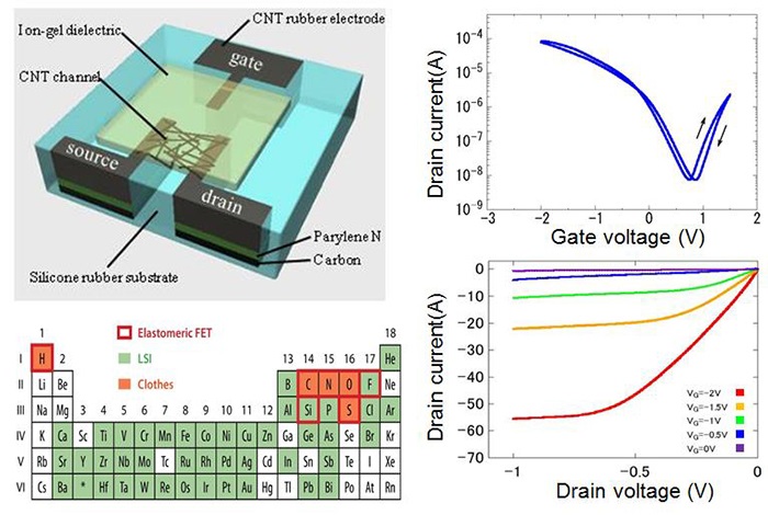 Schematic illustration of the transistor