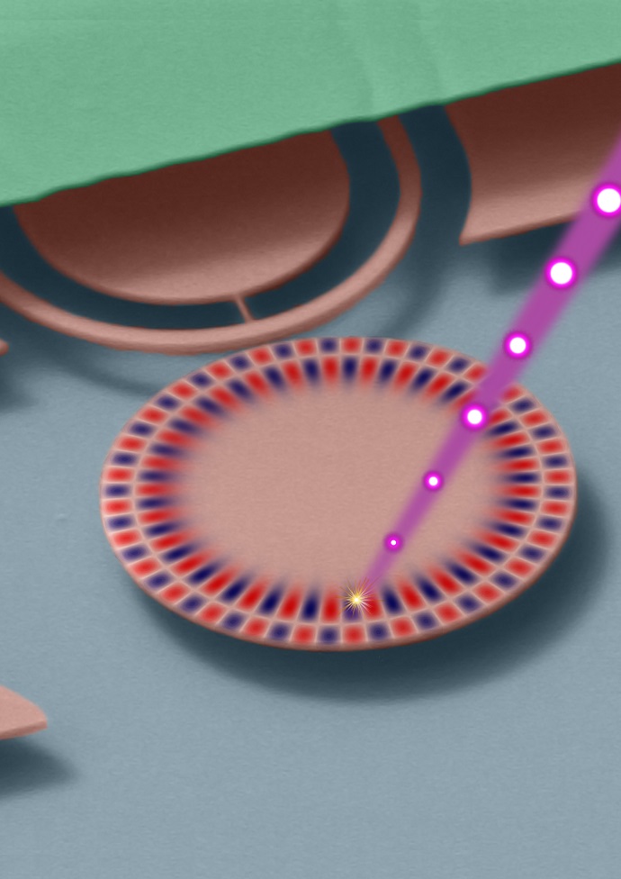 Ion-beam Microdisk