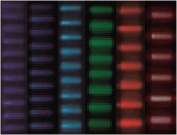 New on-chip optical sensing technique used to detect multiple flu strains