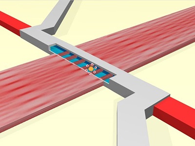 A schematic view shows the optical waveguide intersecting a fluidic microchannel containing target particles