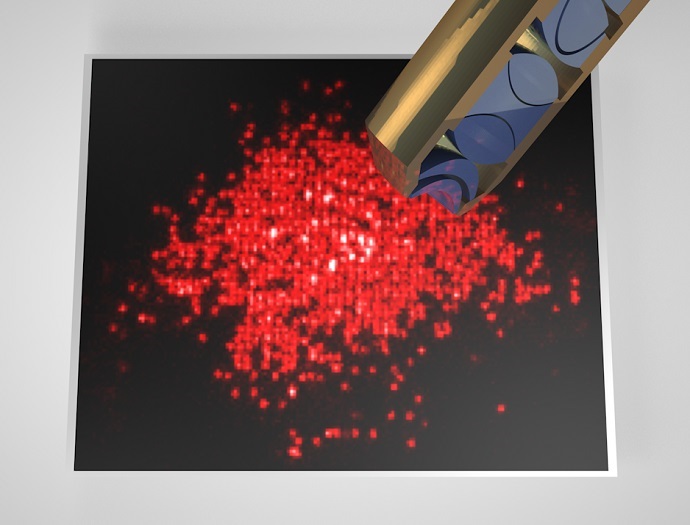 Single atom resolved fluorescence image of a band insulator of fermionic lithium in an optical lattice