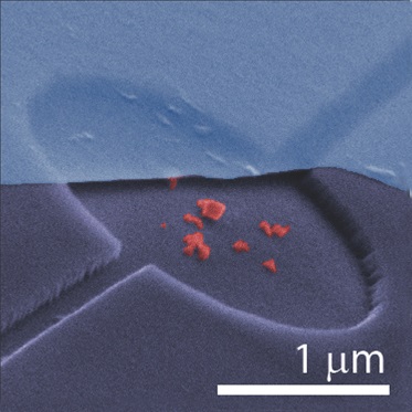 False colour scanning electronic micrograph of hybrid graphene-NV near-field nano-optomechanical system