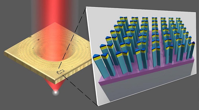 Experimentally obtained image of a Fresnel zone plate