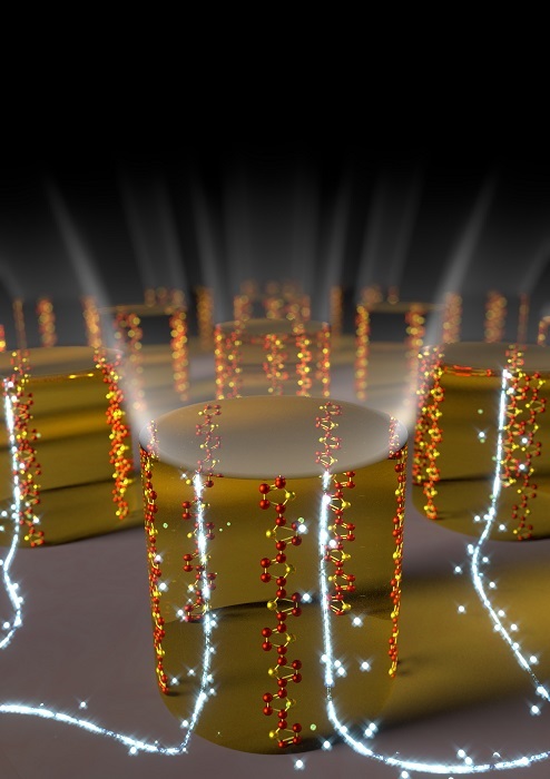 Vertically aligned chains in the organic semiconducting polymer inside microscopic patterns