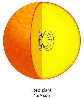 Strong magnetic fields discovered in majority of stars