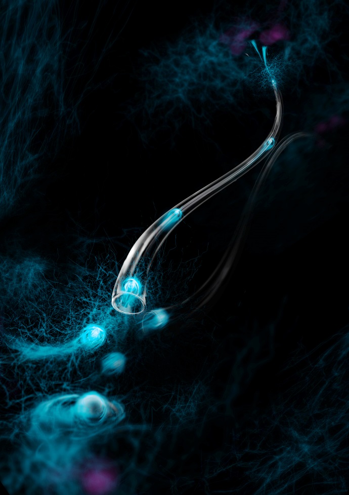 Artistic impression of quantum-limited heat conduction of photons over macroscopic distances