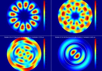 Wave patterns produced by whispering gallery lasers