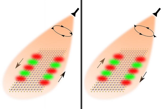 Researchers used the spin of light to guide the flow of optical information