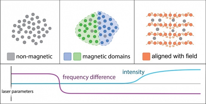 Measuring the magnetization of wandering spins