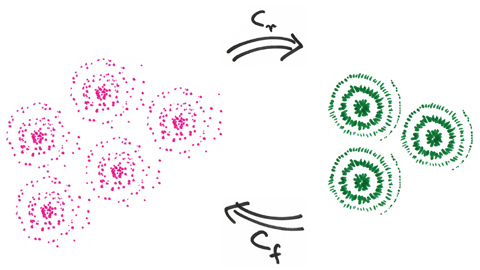 UAB researchers have come up with a method that allows measuring the strength of the coherence of superposition in any given quantum state