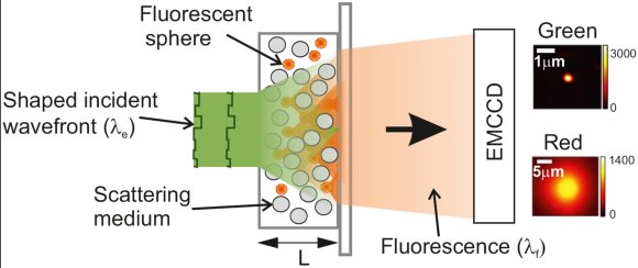 Experimental setup