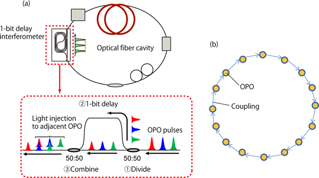 Simulation of one-dimensional spin network with OPOs