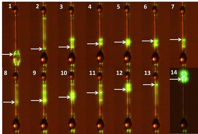 A thin coating is formed on the capillary