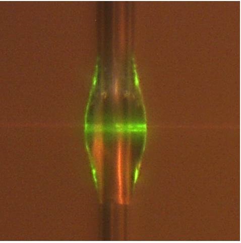 The green fluorescence shows light trapped around the circular cavity