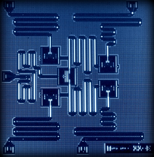 IBM Five Qubit Processor