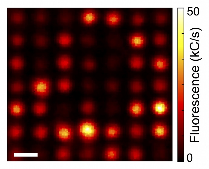 A confocal microscopy image of an array of sensors on a cantilever showing nitrogen-vacancy fluorescence