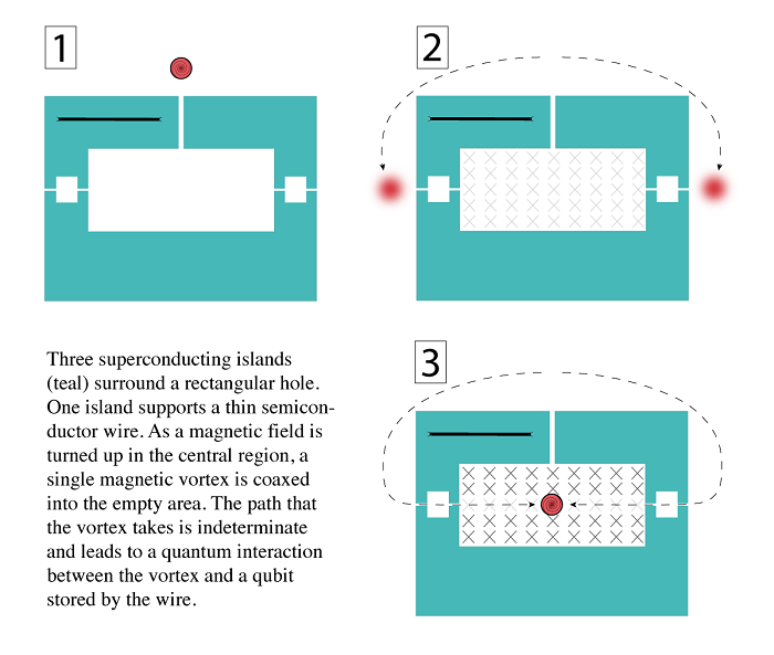 Novel gate may enhance power of Majorana-based quantum computers