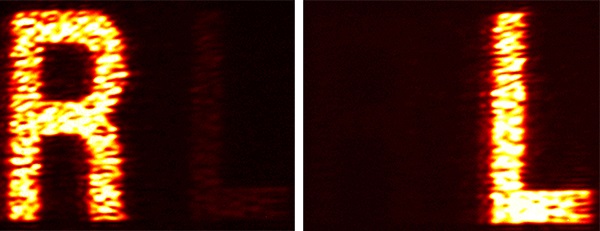 The same hologram illuminated with different polarizations displays two vastly different images