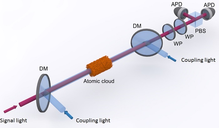 A cloud of cold atoms is illuminated with red signal light and blue coupling light
