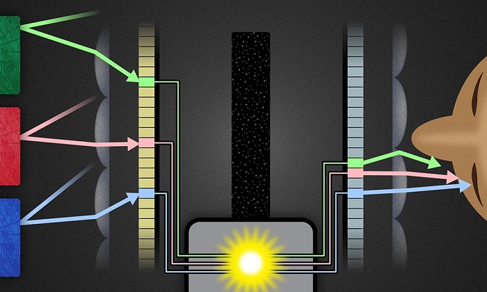 A digital ‘Rochester Cloak’ to fit all sizes