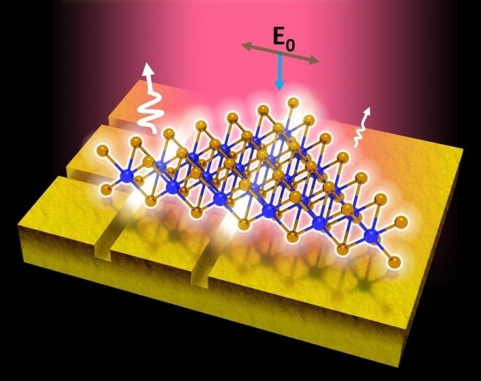 This is a schematic of the light emission from a single crystal monolayer of tungsten diselenide flake on a gold substrate