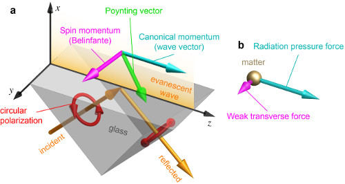 Canonical and spin momenta of light in an evanescent wave