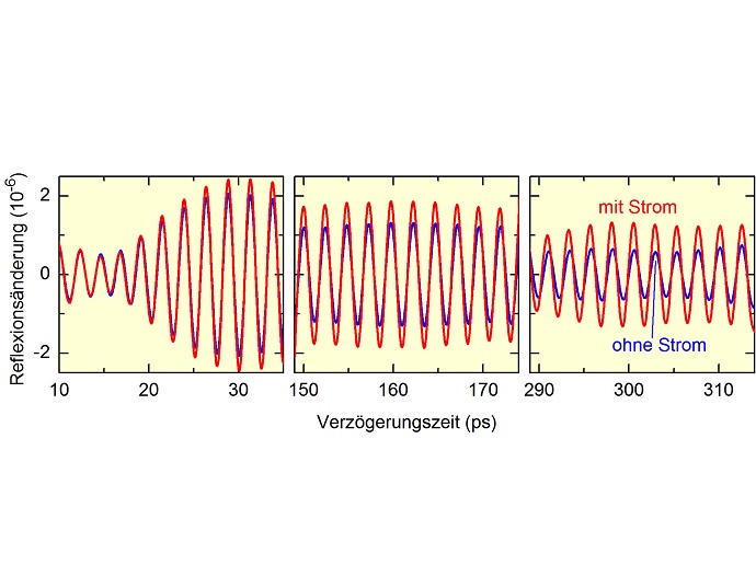 Changes of the sample reflectivity as a function of the delay time after the pump pulse