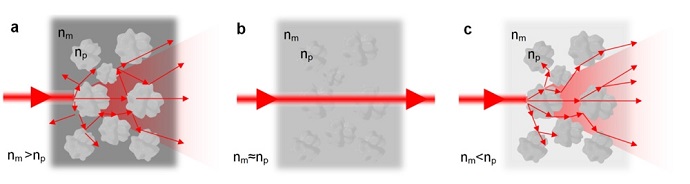 Mixing solids and liquids enhances optical properties of both