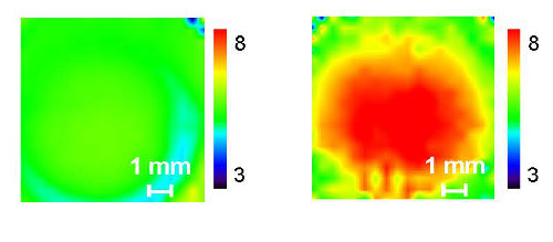 Using terahertz laser, scientists change the macromolecular conformation of a polymer