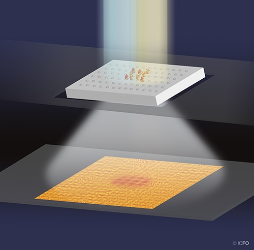 Large field of view interferometric microscope can detect single protein layers