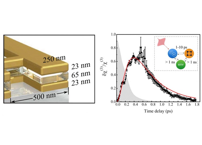 Studied Fishnet Metamaterial