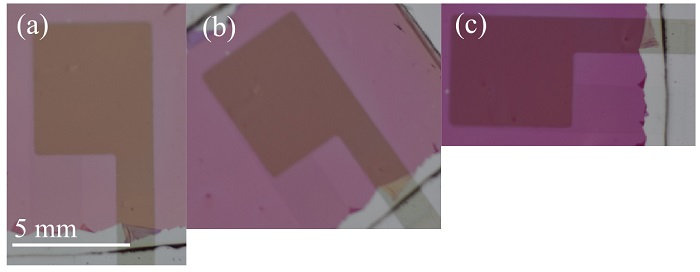 Close up view of the semitransparent polarization detector