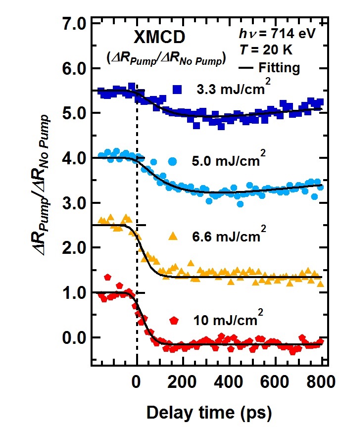 Time evolution of magnetization observed by time-resolved magnetic circular dichroism