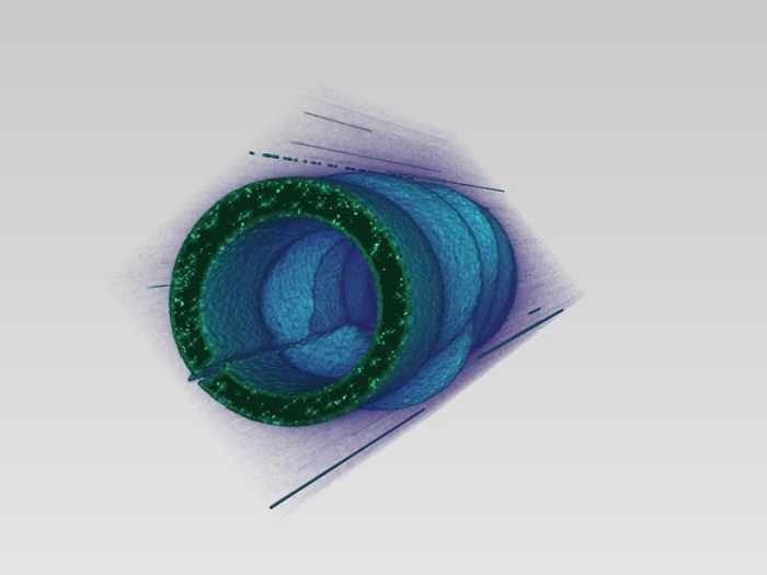 Mapping electromagnetic waveforms