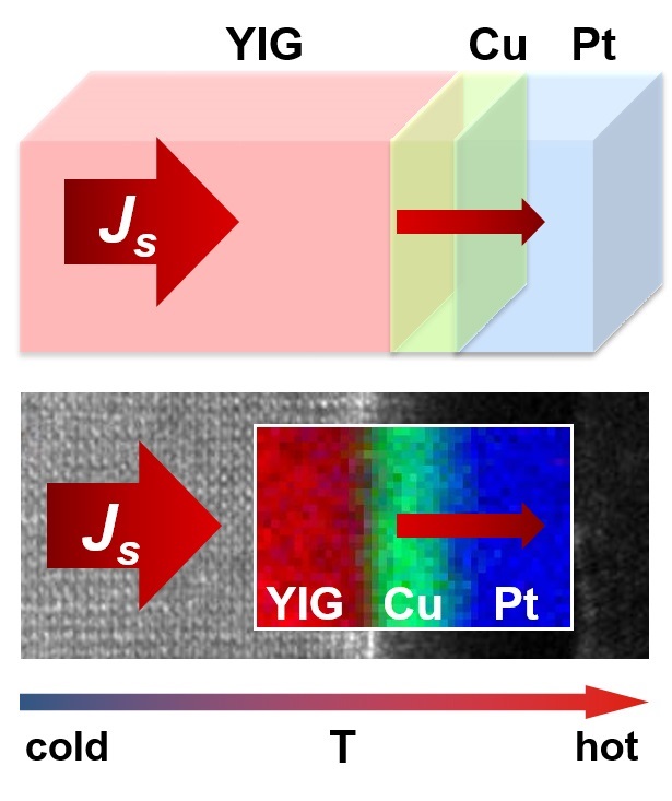 Thermally excited spin waves carry a spin current from the ferromagnet into the metal layer