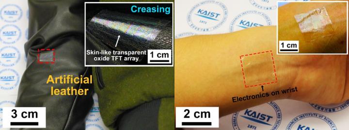 Application of Uultrathin, Flexible, and Transparent Oxide Thin-film Transistors