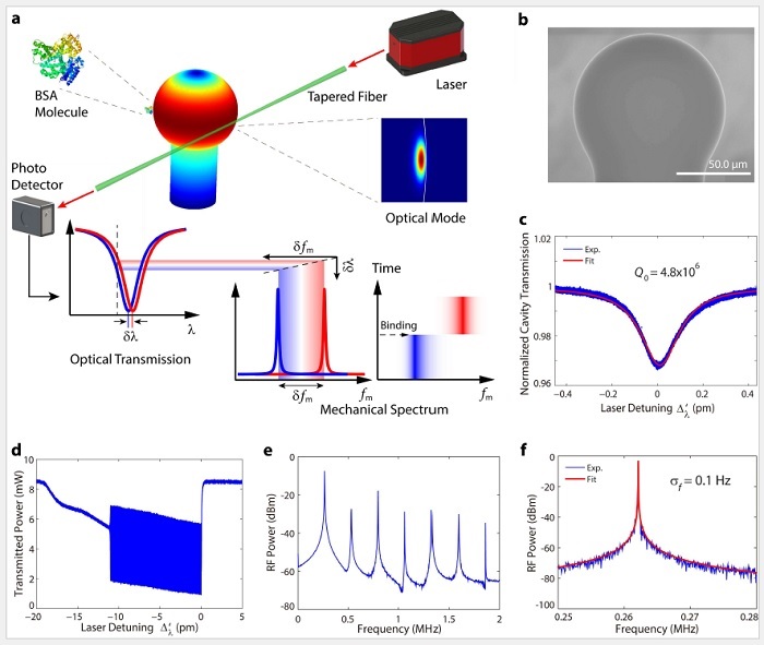 Experiment schematics and device characterisation