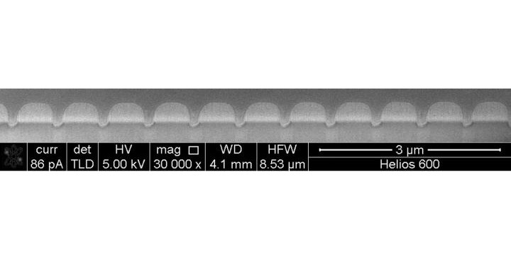 Cross-Sectional Scanning Electron Microscopy Images