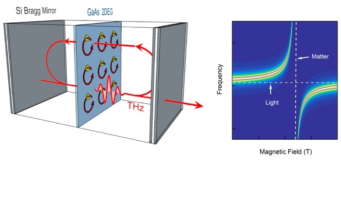 Light and matter merge in quantum coupling