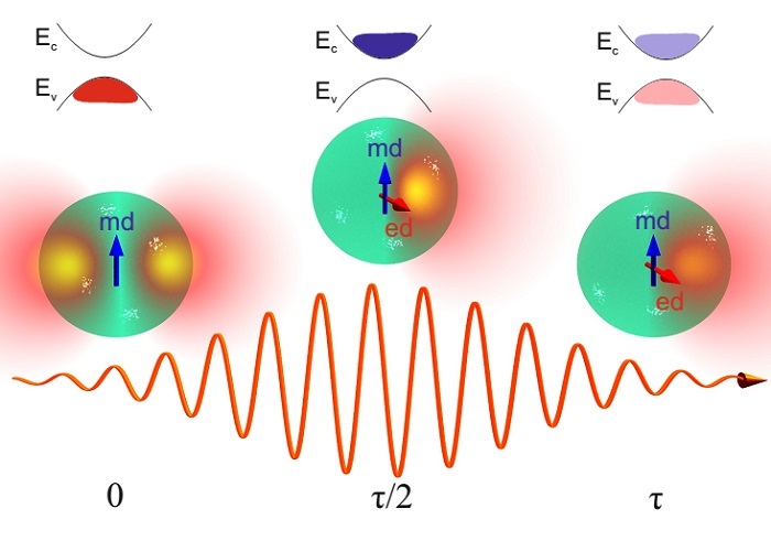 Schematic representation of the system studied in the paper