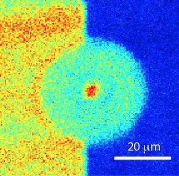 The formation of singular charge patterns upon localized laser excitation