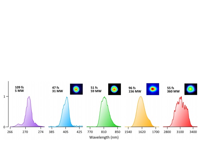 Measured pulse energies and spectra of all outputs of the optical parametric synthesizer