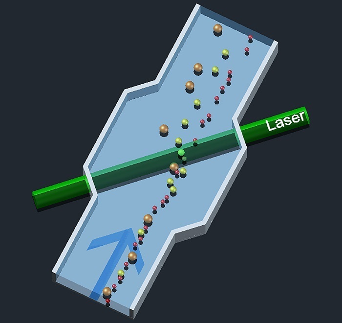 A schematic diagram of how the sorting system works